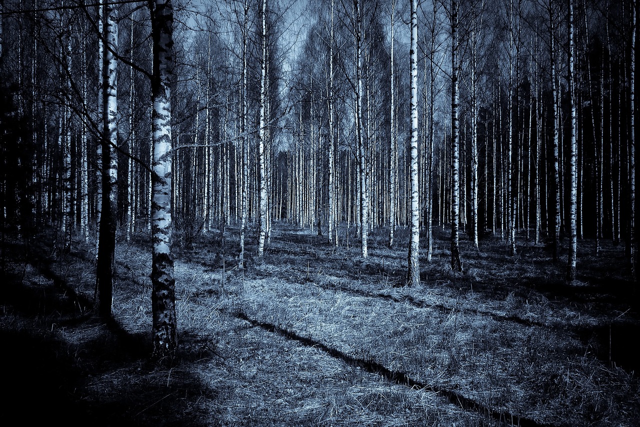 The Problem of Evil - A Theological and Philosophical Perspective